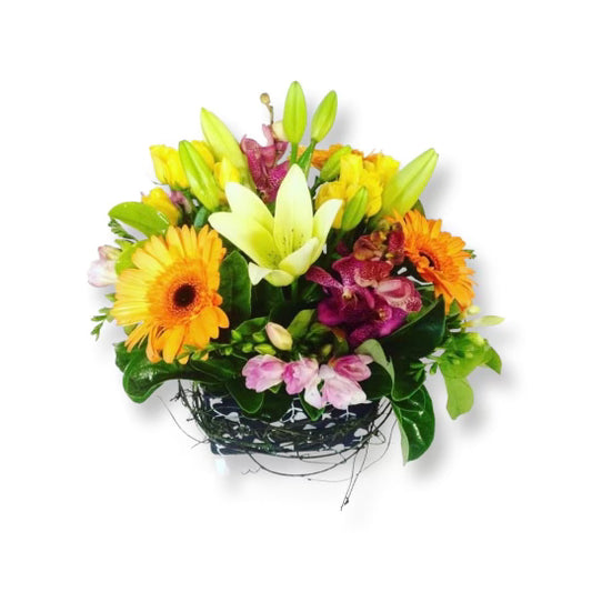 Florist Choice Bright Box Arrangement