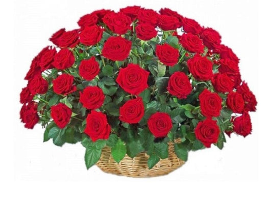 50 red roses basket